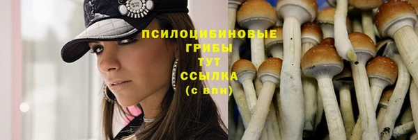 дурь Липки
