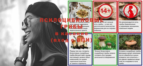 дурь Липки