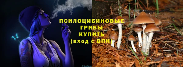 мдпв Магас