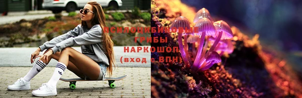 дурь Липки