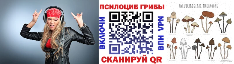 Псилоцибиновые грибы мицелий  Олёкминск 